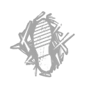 Predator